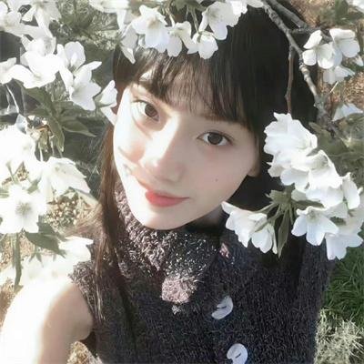 暹罗复兴录